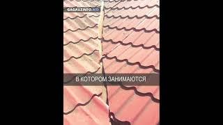 Реабилитационный центр в Вулканештах ОСТАЛСЯ БЕЗ КРОВЛИ