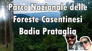 Due giorni nel Parco Nazionale delle Foreste Casentinesi