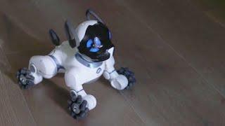 CHIP DE WOWWEE .- Perro robot inteligente jugueton con inteligencia artificial y mas de 20 sensores