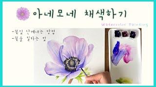 [ENG]아네모네 채색하는 방법 | 꽃잎 그라데이션, 꽃술 칠하는 법️ |Watercolor Painting Tutorial