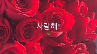 사랑하는 아내의 생일을 축하하며(에트나이브 영상편지)