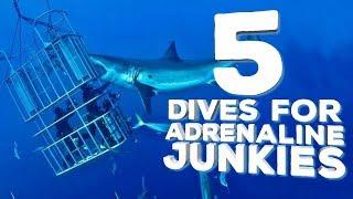 5 Dives For Adrenaline Junkies