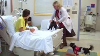 Healing Paws - Pet Therapy at Atlantic Health System