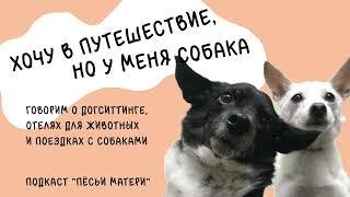 “Хочу в путешествие, но у меня собака” — о догситтинге, отелях для животных и поездках с собаками