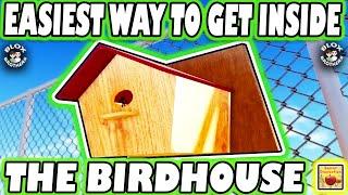 EASIEST WAY How To Get Inside " THE BIRDHOUSE " / Easy Tutorial Steps / Secret Staycation