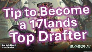 Bloomburrow Draft Guide: Only Fight for 1 Color At Most