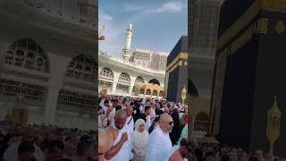 Allah hu Akbar #madina #umrahtrip #hajreaswad #youtubeshorts