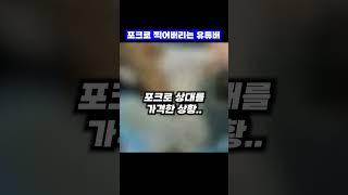 이건 미쳤다...부천에서 싸움난 유튜버들..포크로 찍어버리네 ㄷㄷ