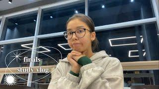 finals study vlog: SDU business school edition