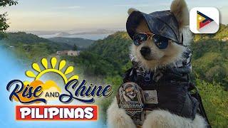 Adorable moto doggo na si Cory, kilalanin!