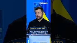  ПВО, F-16 и тренировки с солдатами НАТО: ЗЕЛЕНСКИЙ – о договоренностях в Вашингтоне #shorts