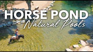 NATURAL POOLS For HORSES - No Chlorine - Aquascape SWIM POND Biological Filtration