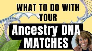 What to do with Your Ancestry DNA Matches