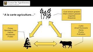 Silvopasture - The Power of Livestock with Trees | Dr. Ashley Conway