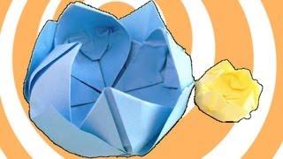 DIY: Origami Water Lily Instructions