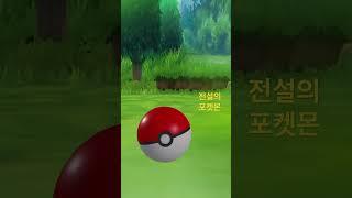 전설의 포켓몬 ㅋㅋㅋ #흔한남매