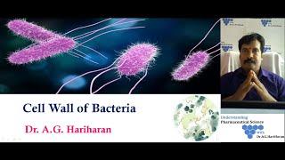 Cell Wall of Bacteria