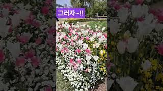 ️꼭.그리살자