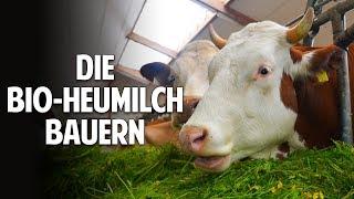 Die Bio-Heumilch Bauern - Lösungen für ein gesundes Leben im Einklang mit der Natur