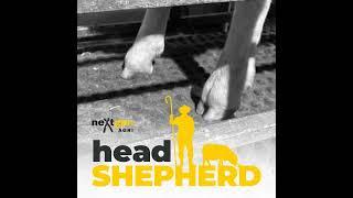 Foot Health Fundamentals in Sheep with MSD Animal Health