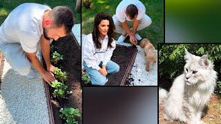 Ксения Бородина показала свой приусадебный участок Коты перерыли  все грядки