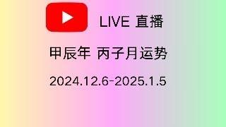 丙子月运势｜2024.12.6-2025.1.5｜十天干日主运势｜甲辰年