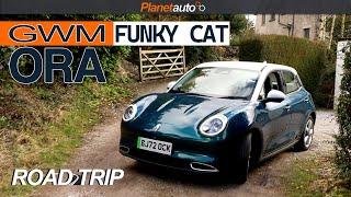 GWM Ora Funky Cat 03 | Yorkshire Road Trip