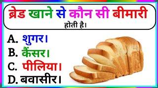 Important Gk Question Answer || Today Gk Questions || Gk Questions || Gk In Hindi