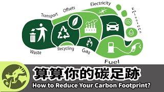 龍行辭典｜算算你的碳足跡  Odyssey Dictionary｜How to Reduce Your Carbon Footprint?