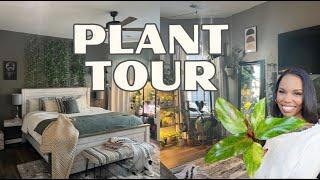 Plant Tour 2023 Finale: Bedroom Plants