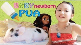  Moana Bug Pretend Play with Newborn PUA 