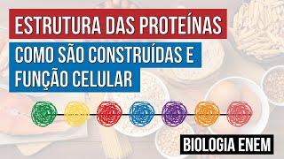 ESTRUTURA DAS PROTEÍNAS: como são construídas e função celular | Biologia para o Enem | Cláudia