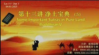 04.01.2025 净土宝典（5） Some Important Sutras in Pure Land Buddhism V