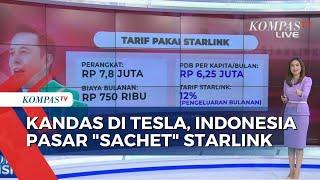 Kandas Gaet Tesla, Indonesia Cuma Dikasih Starlink oleh Elon Musk!