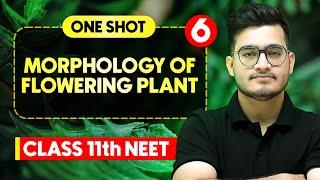 MORPHOLOGY OF FLOWERING PLANTS - Complete Chapter in One Video || Concepts+PYQs || Class 11th NEET