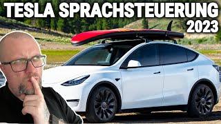 TESLA SPRACHSTEUERUNG WAS GEHT UND WAS NICHT! TUTORIAL 