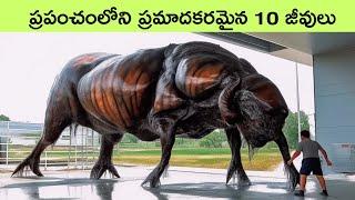 Animals with unique abilities | strange animals | facts in telugu | bmc facts | Telugu facts