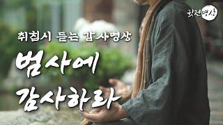 [ 취침명상] 감사하라. 또 감사하라. 다시한번 감사하라. 감사의 기적이 당신을 기다린다ㅣ범사에 감사하라 ㅣ만사에 감사하라 ㅣ 감사하면 감사한 일이 찾아온다 #감사합니다