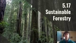 APES Video Notes 5.17 - Sustainable Forestry