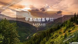 MSM 甲基硫醯基甲烷(含硫胺基酸)