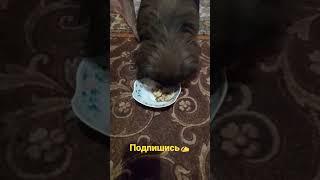 Ой как вкусно!!!
