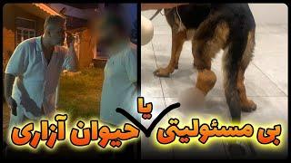 The Tragic Tale of a Village Dog/سرگذشت تلخ یک سگ روستایی