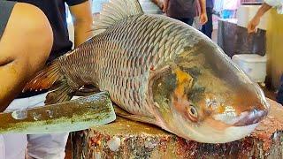 Amazing Cutting Skills | Big Rohu Fish Cutting By Expert Fish Cutter