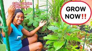 Grow YOUR Own PRODUCTIVE Food Forest Now!