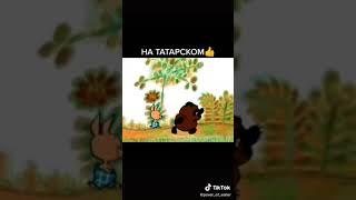 Винни пух на татарском языке (Видео с тик тока)