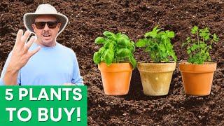 5 Plants to Buy vs Starting from Seed