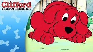 Clifford en Latino | El Perro Del Año | Episodio Completo