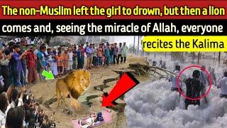 Everyone Shocked when they see Lion act with this young girl - Viral Life Stories - heartbeats Allah