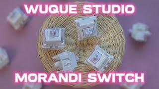 The Wuque Studio Morandi switch, Deep and Thocky, just the way you like it