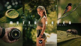 Color Grading Dark Green Presets Free Download: Premium Cinematic Filter Lightroom Photo Editing